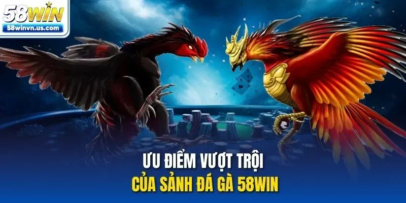 Ưu điểm vượt trội của sảnh đá gà 58Win